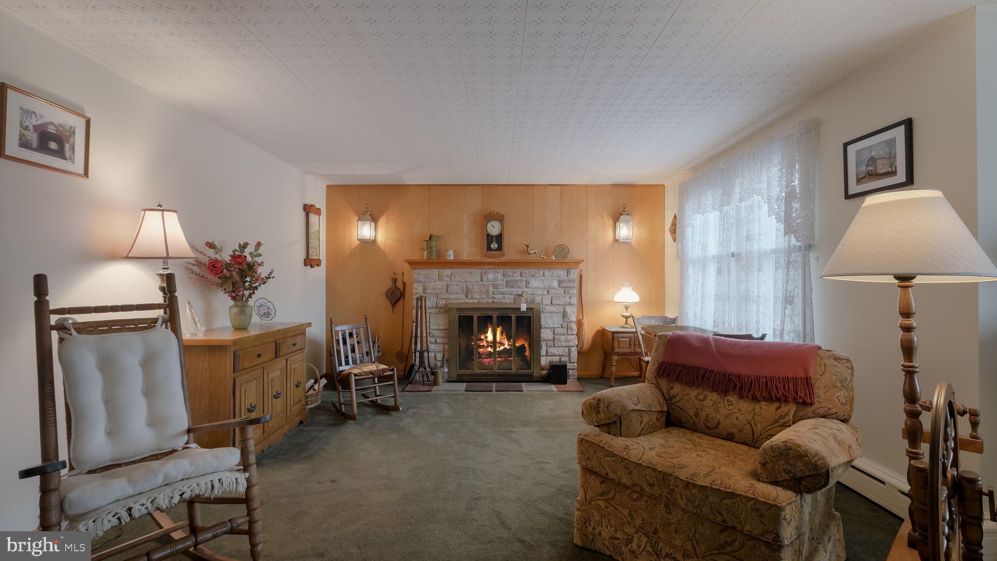 63 Durham Road Ottsville, PA 18942 - Photo 8 of 32 Living Room with Wood-Burning Fireplace