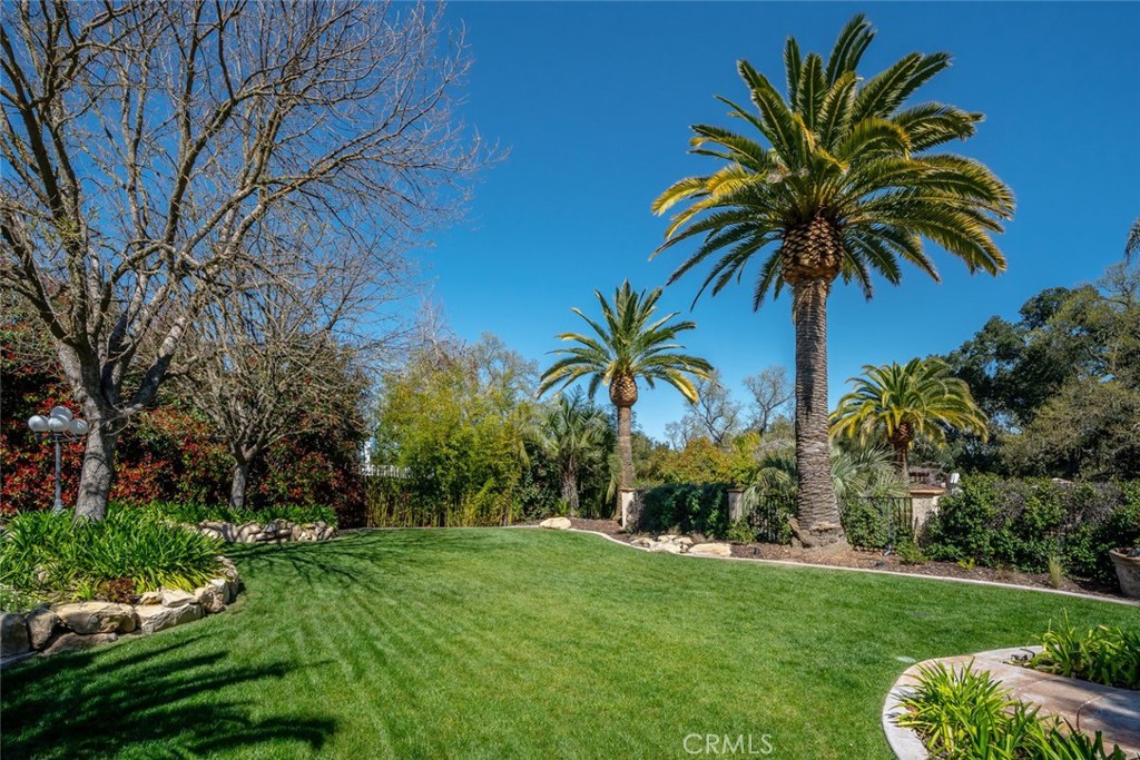 155 Conover Lane Templeton, CA 93465 - Photo 72 of 75 a view of a palm trees front of house