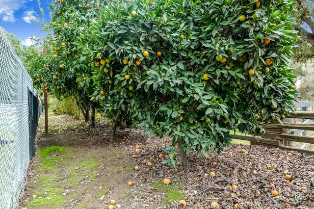 $725,000 | 18701 Lort Drive, Exeter, CA 93221