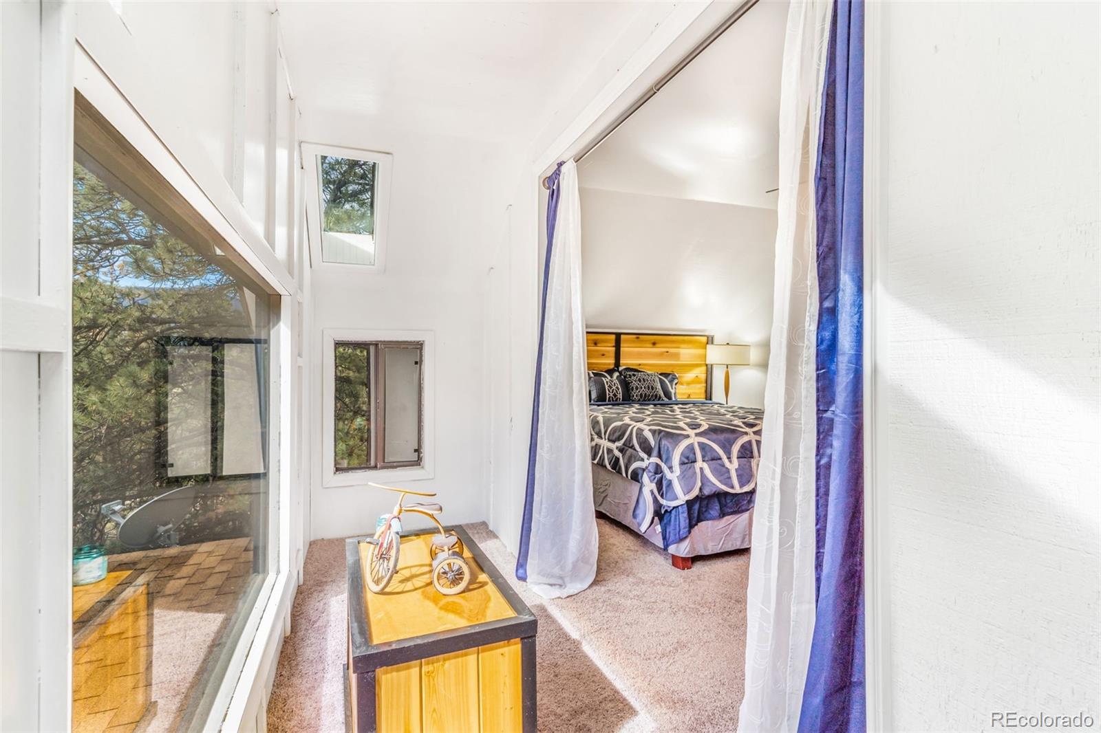 145 Bailey Drive Bailey, CO 80421 - Photo 12 of 21