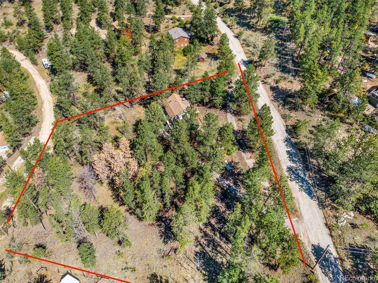 145 Bailey Drive Bailey, CO 80421 - Photo 19 of 21 a view of a forest