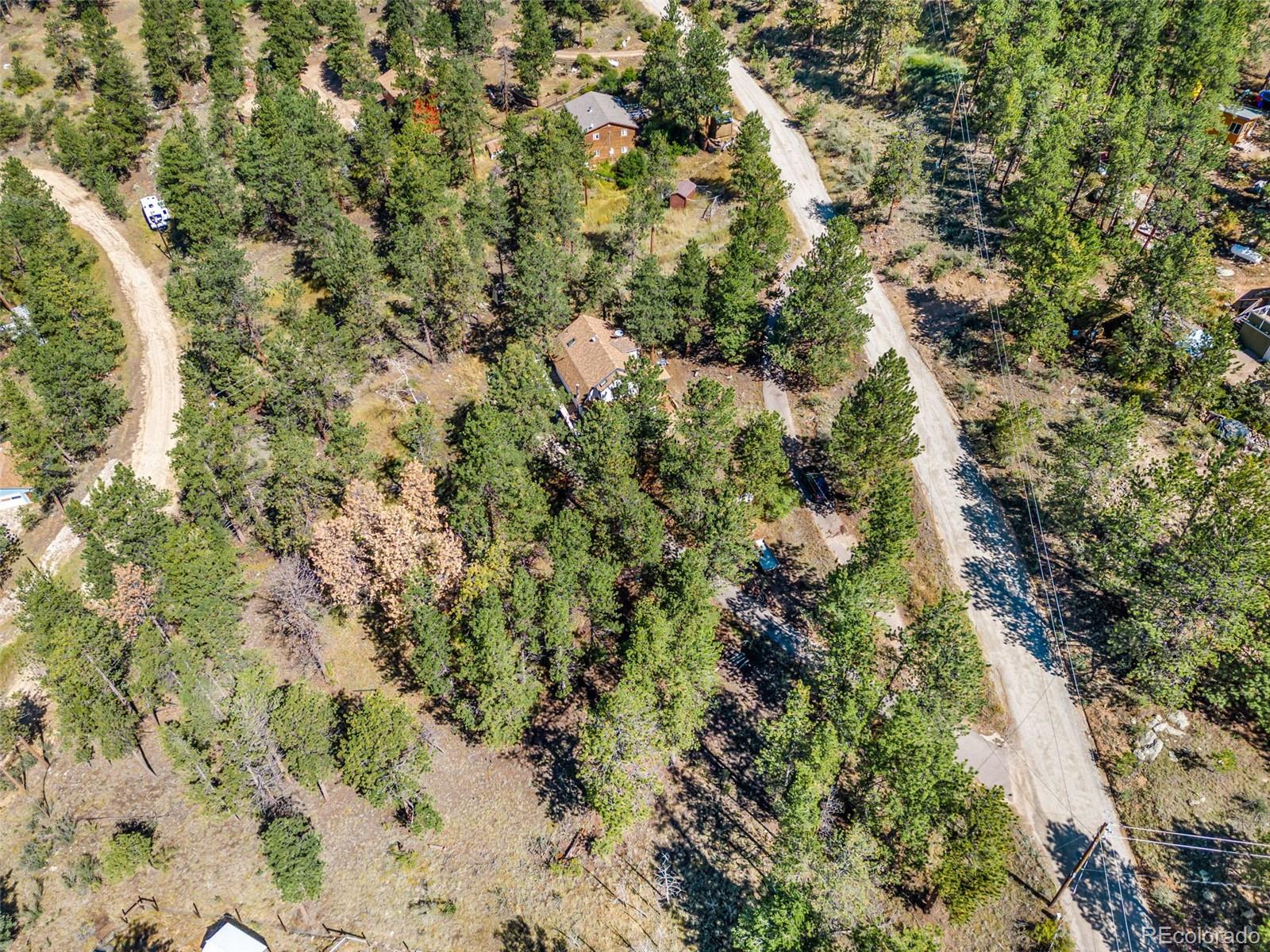 145 Bailey Drive Bailey, CO 80421 - Photo 20 of 21 a view of a forest with a tree