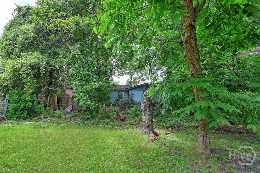 1013 Carroll Street Savannah, GA 31415 - Photo 23 of 23