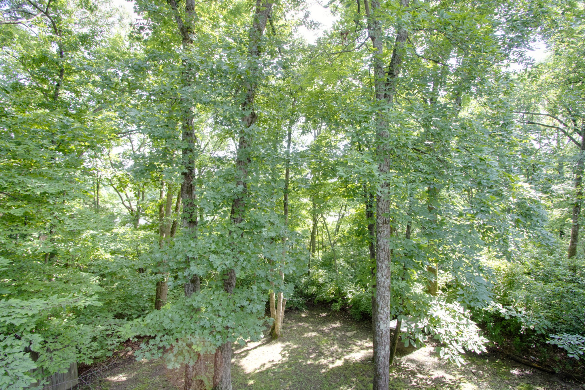 2832 Rader Ridge Court Antioch, TN 37013 - Photo 18 of 26 a backyard of a house with lots of trees