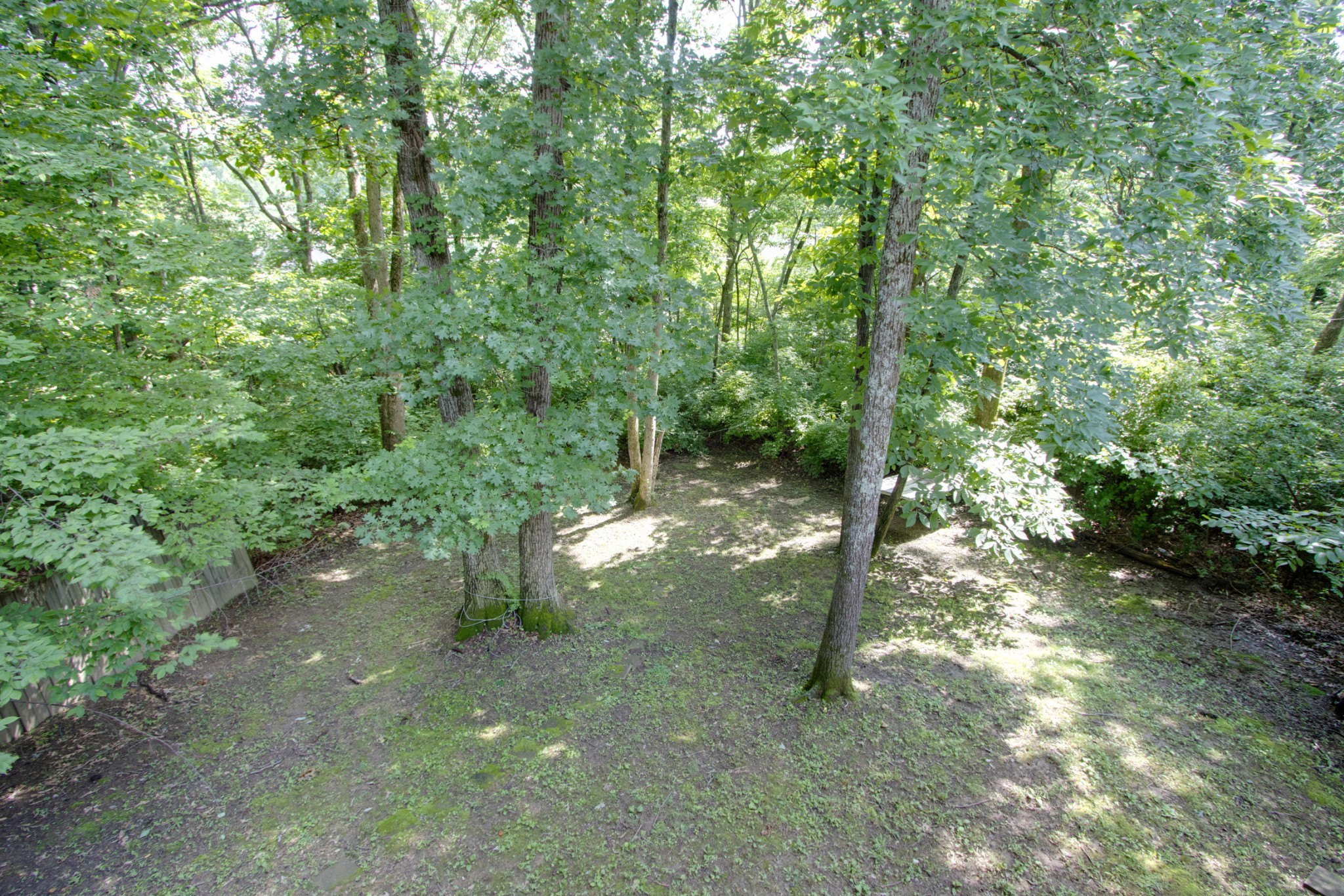 2832 Rader Ridge Court Antioch, TN 37013 - Photo 19 of 26 a view of a forest with trees