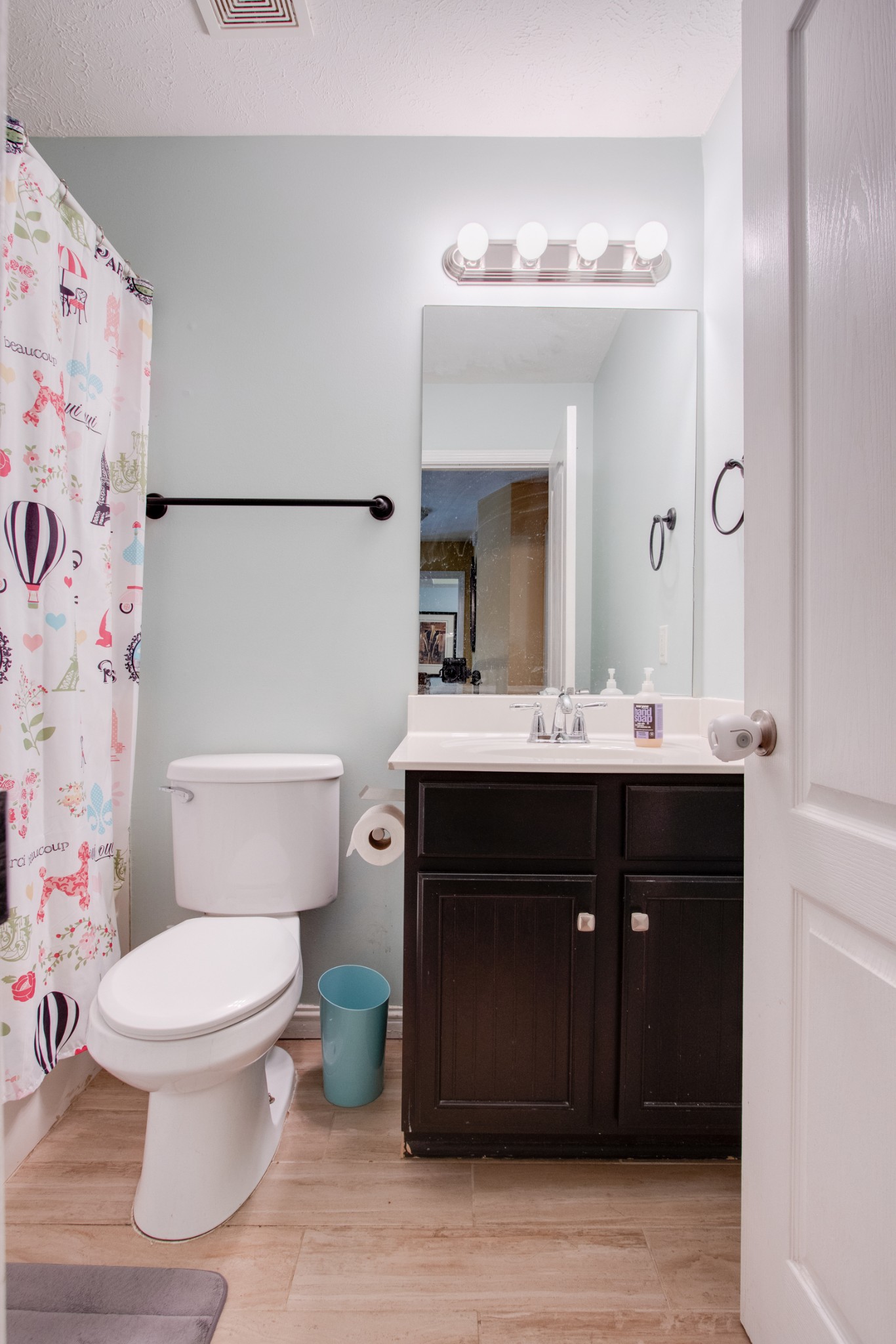 2832 Rader Ridge Court Antioch, TN 37013 - Photo 20 of 26 a bathroom with a sink vanity mirror and toilet