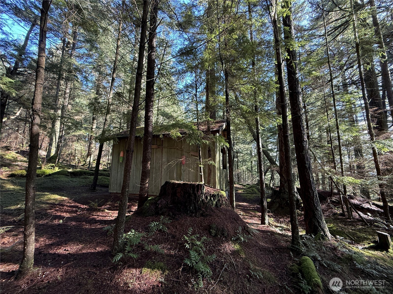 2000 Peregrine Road Orcas Island, WA 98279 - Photo 2 of 31 a view of a backyard of the house