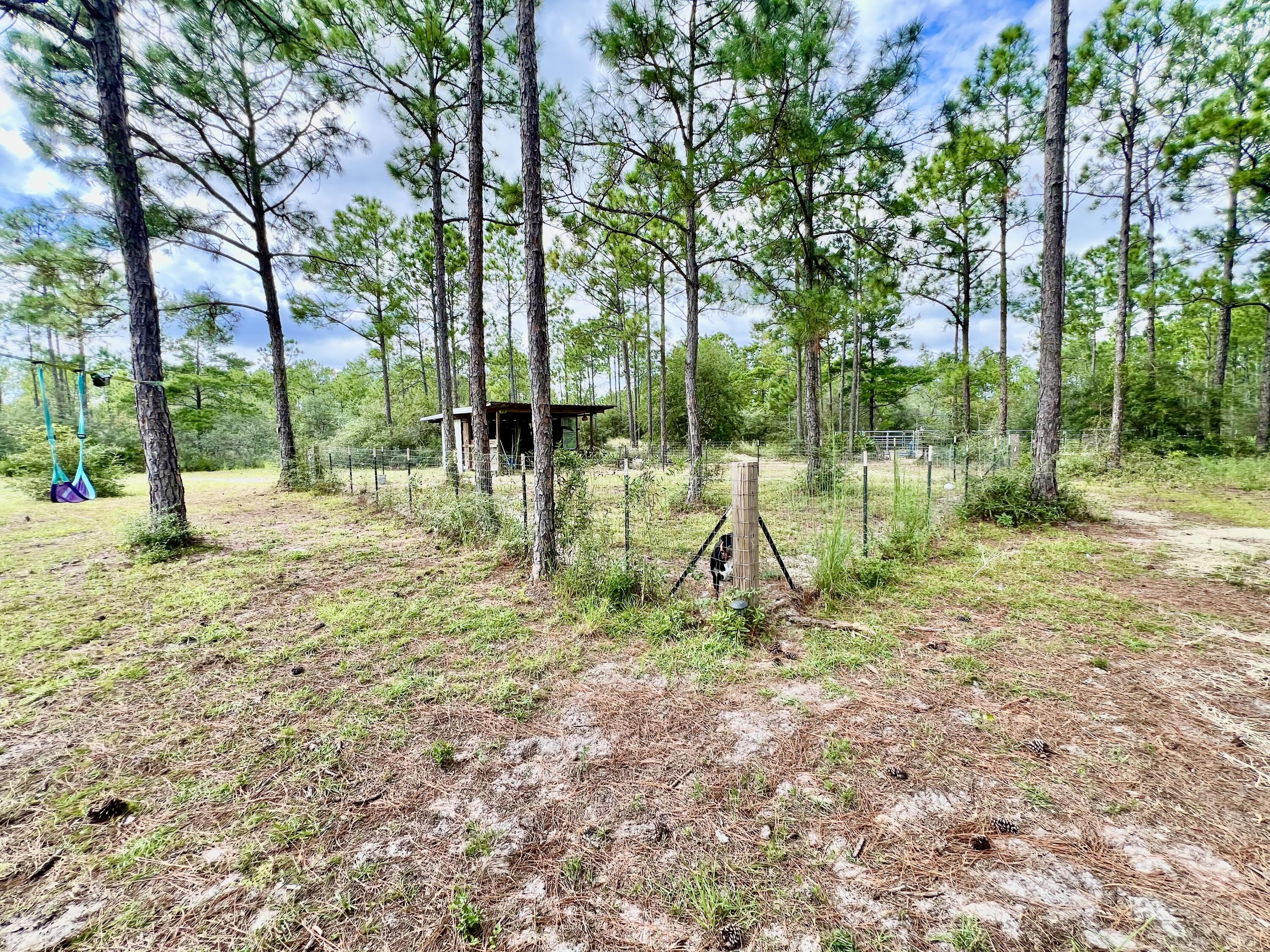 403 Don Graff Road Freeport, FL 32439 - Photo 25 of 34 a view of outdoor space with green space and trees around