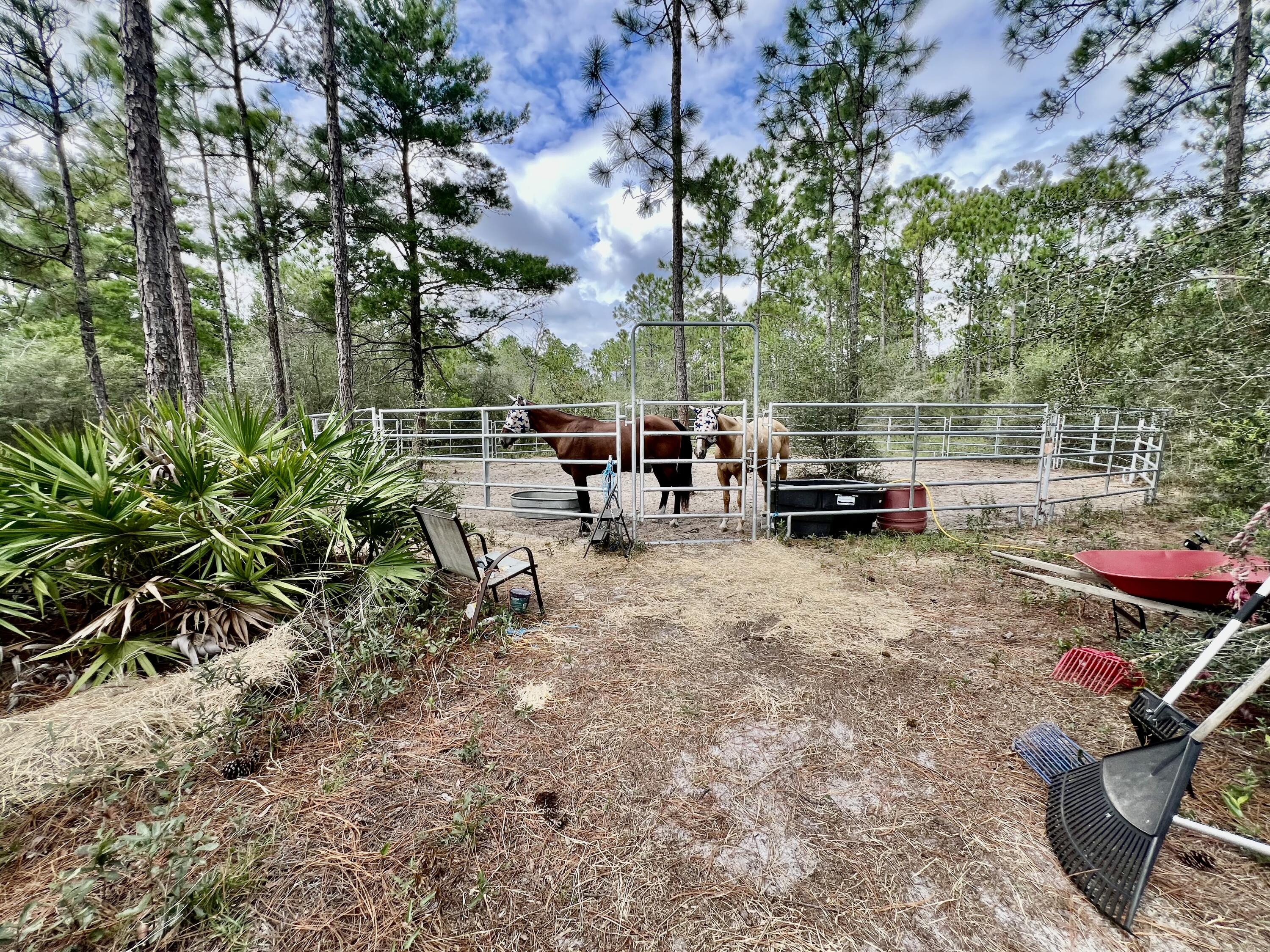 403 Don Graff Road Freeport, FL 32439 - Photo 28 of 34 a view of car parked in front of house