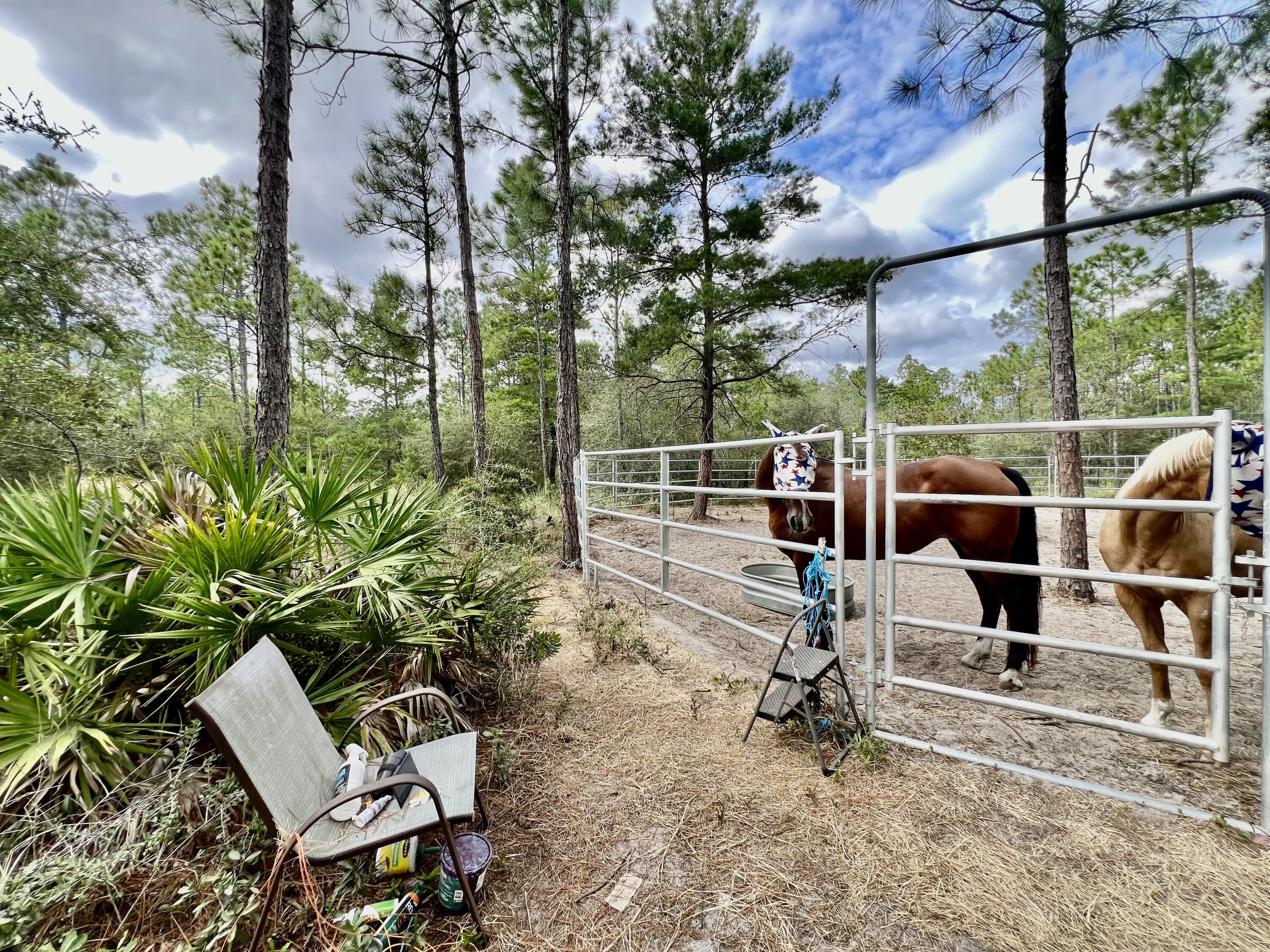 403 Don Graff Road Freeport, FL 32439 - Photo 29 of 34 a view of outdoor space with seating area