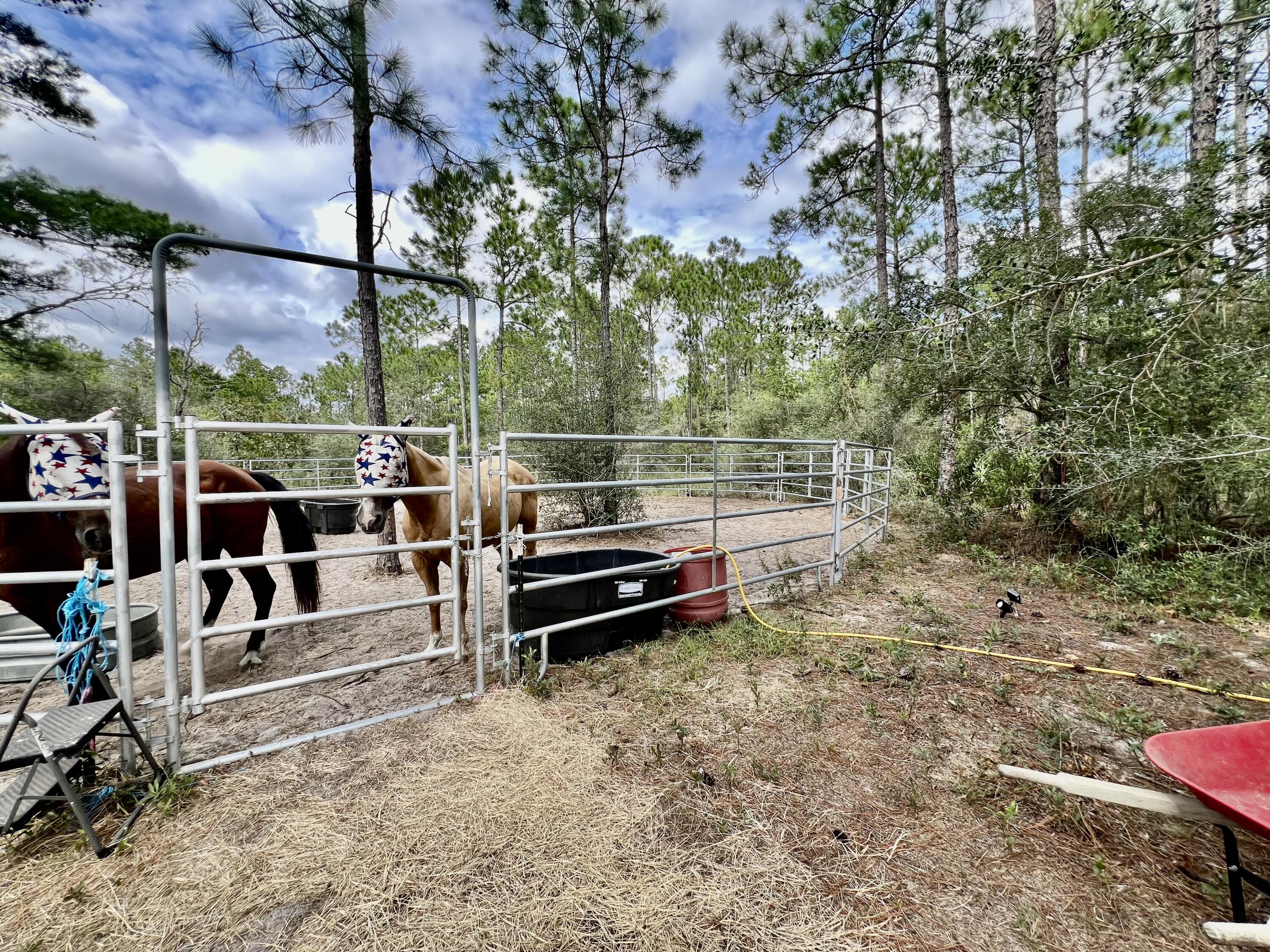 403 Don Graff Road Freeport, FL 32439 - Photo 30 of 34 a view of outdoor space with seating area