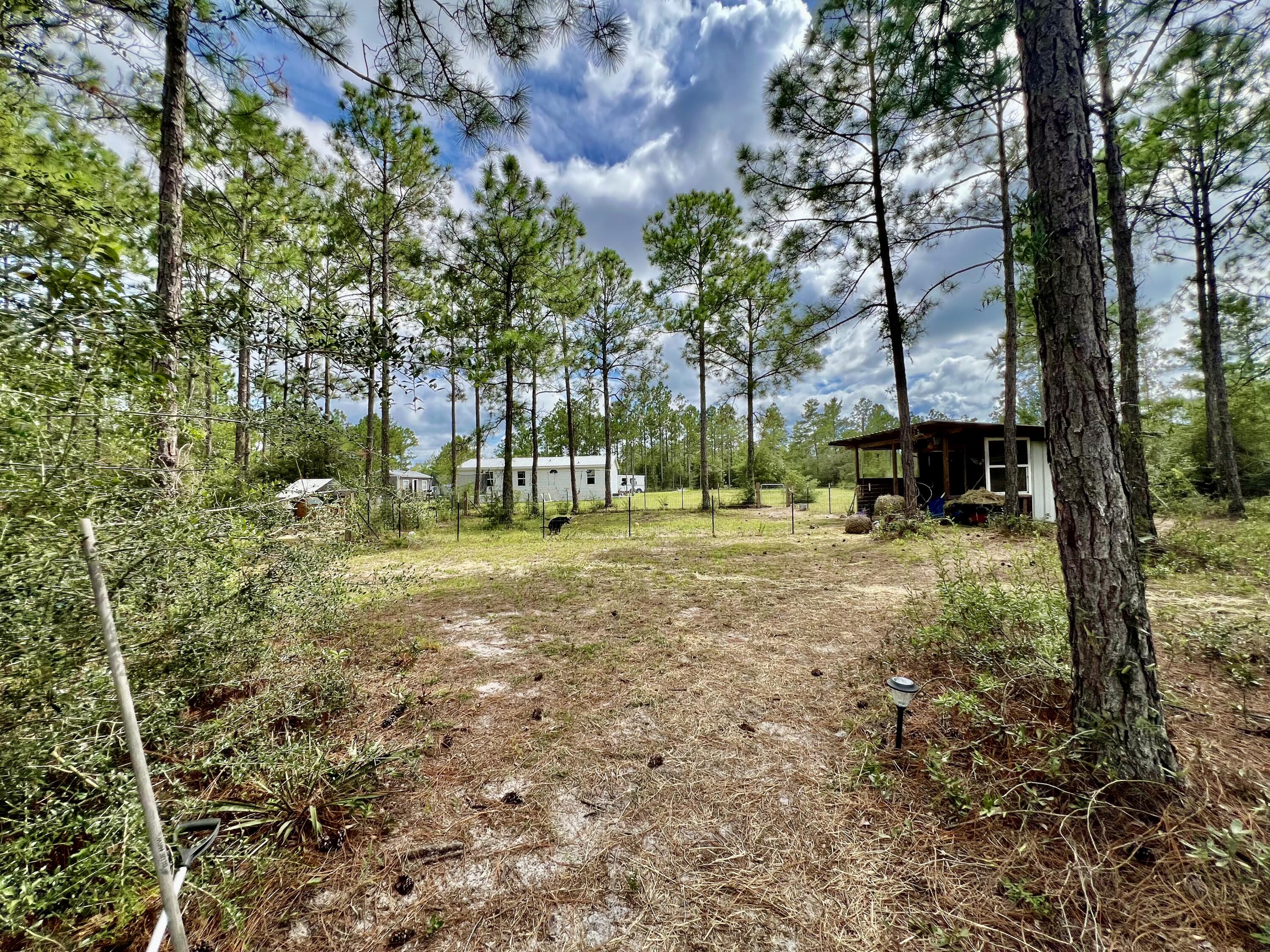 403 Don Graff Road Freeport, FL 32439 - Photo 31 of 34 a view of outdoor space with deck and tree