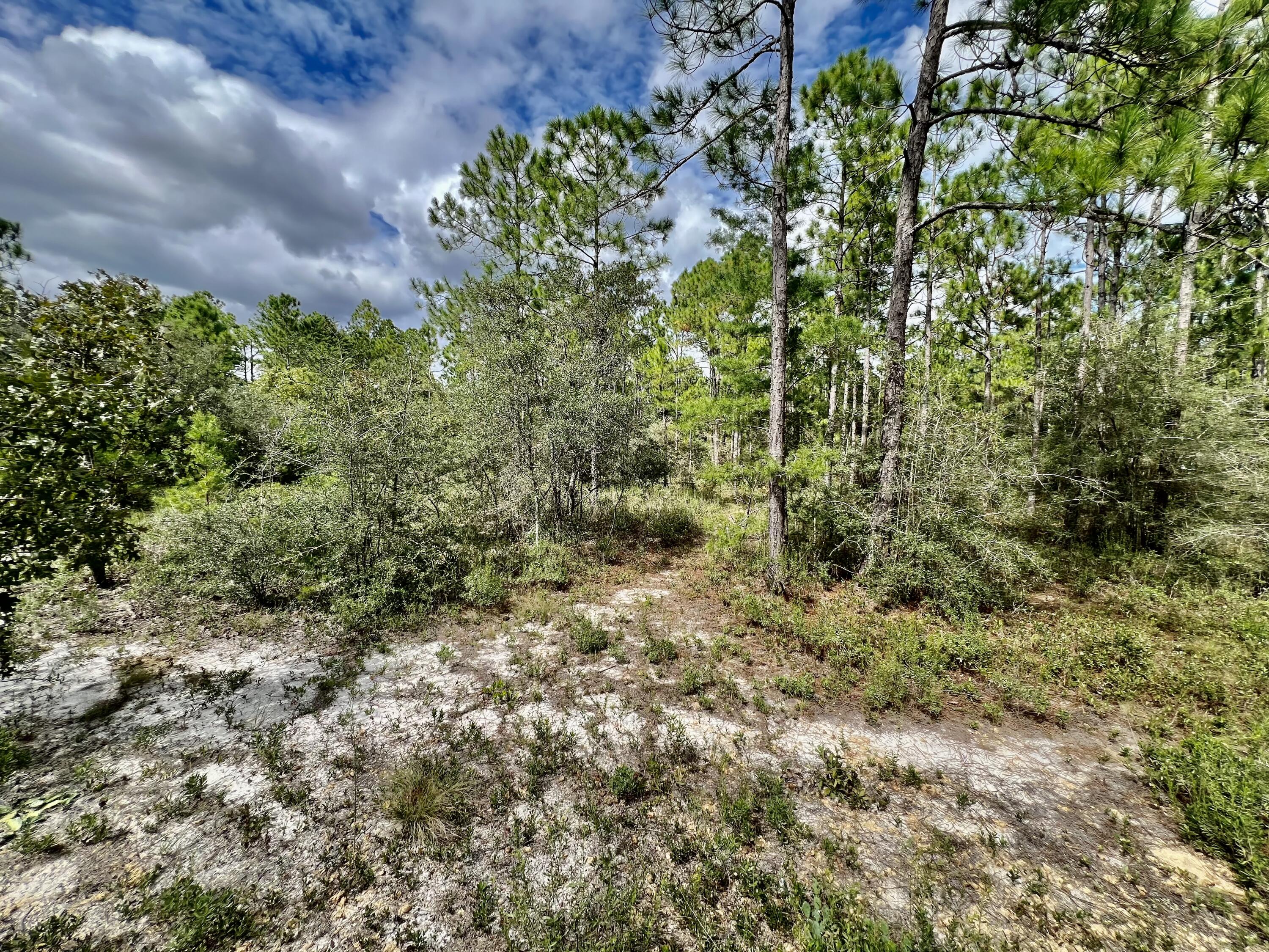 403 Don Graff Road Freeport, FL 32439 - Photo 32 of 34 a view of a garden with a building