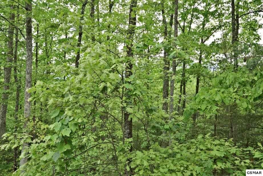 17 Stackstone Road Sevierville, TN 37862 - Photo 10 of 15 Gallery Image 10