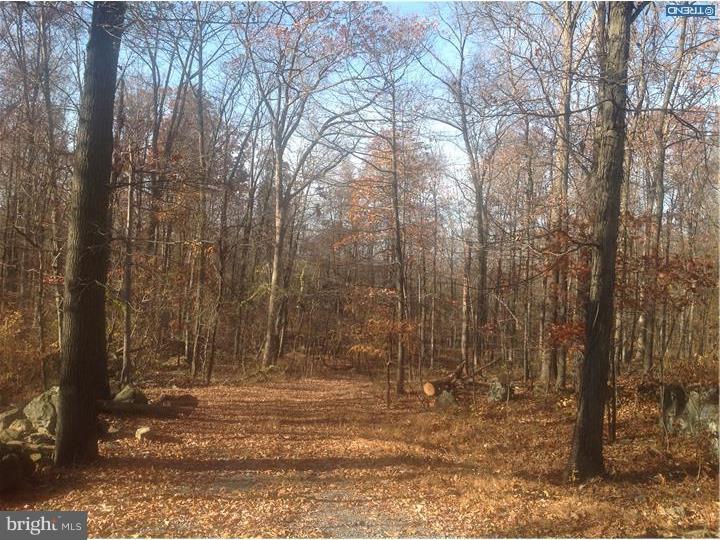 L:24 Upper Ridge Road Pennsburg, PA 18073 - Photo 14 of 20