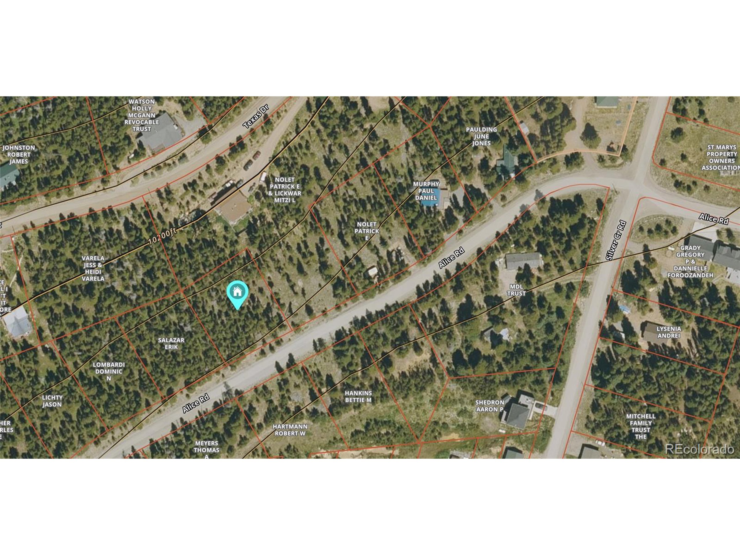 677 Alice Road Idaho Springs, CO 80452 - Photo 16 of 17 a view of a yard