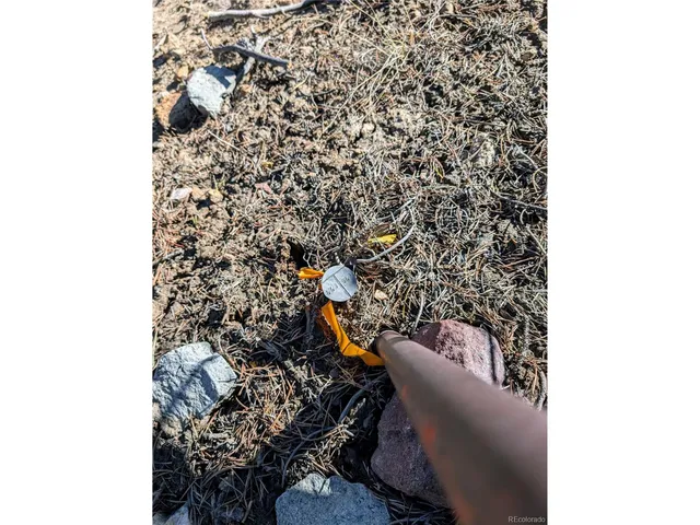 $27,960 | 677 Alice Road, Idaho Springs, CO 80452