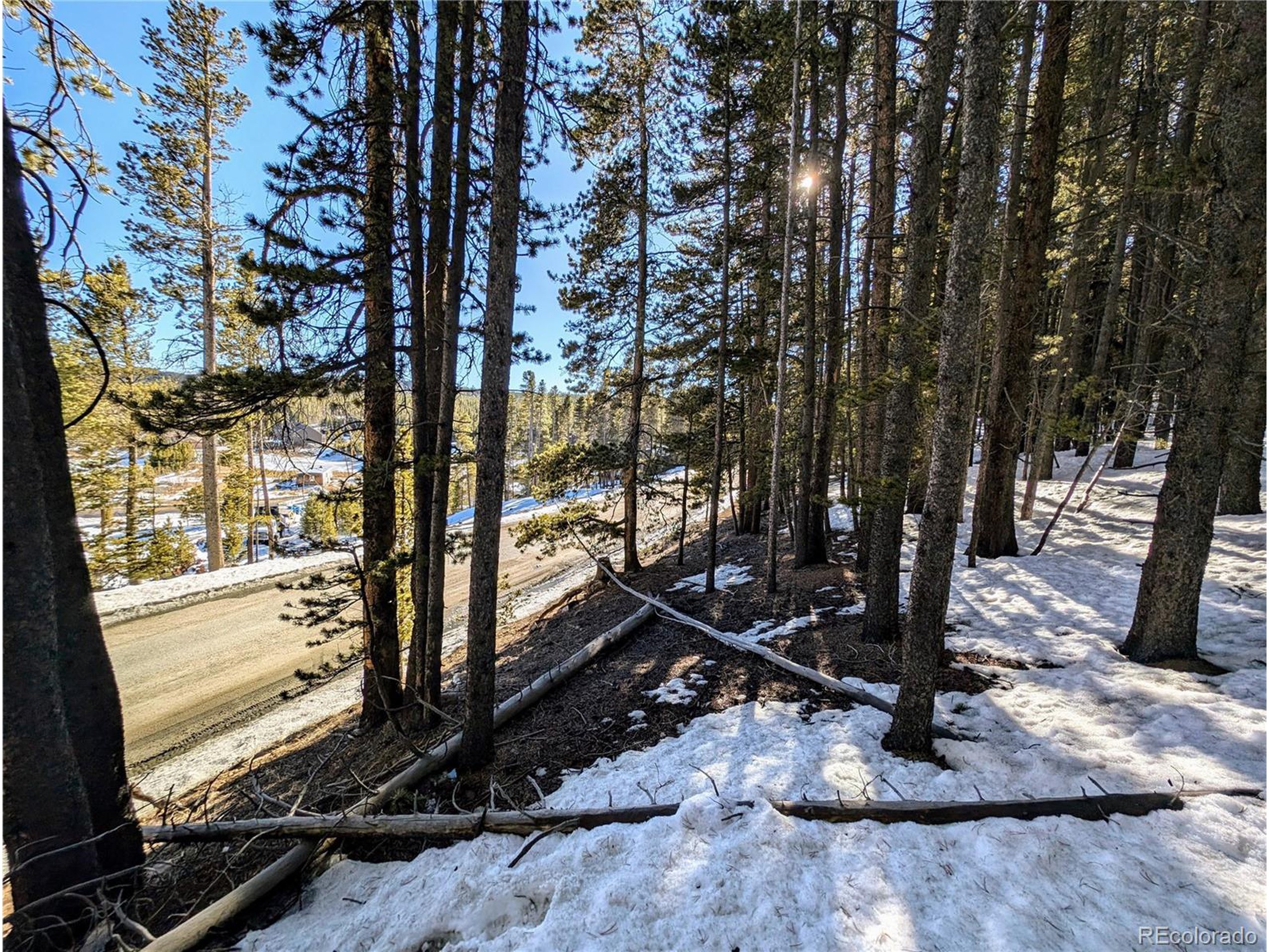 677 Alice Road Idaho Springs, CO 80452 - Photo 8 of 17 a view of a yard