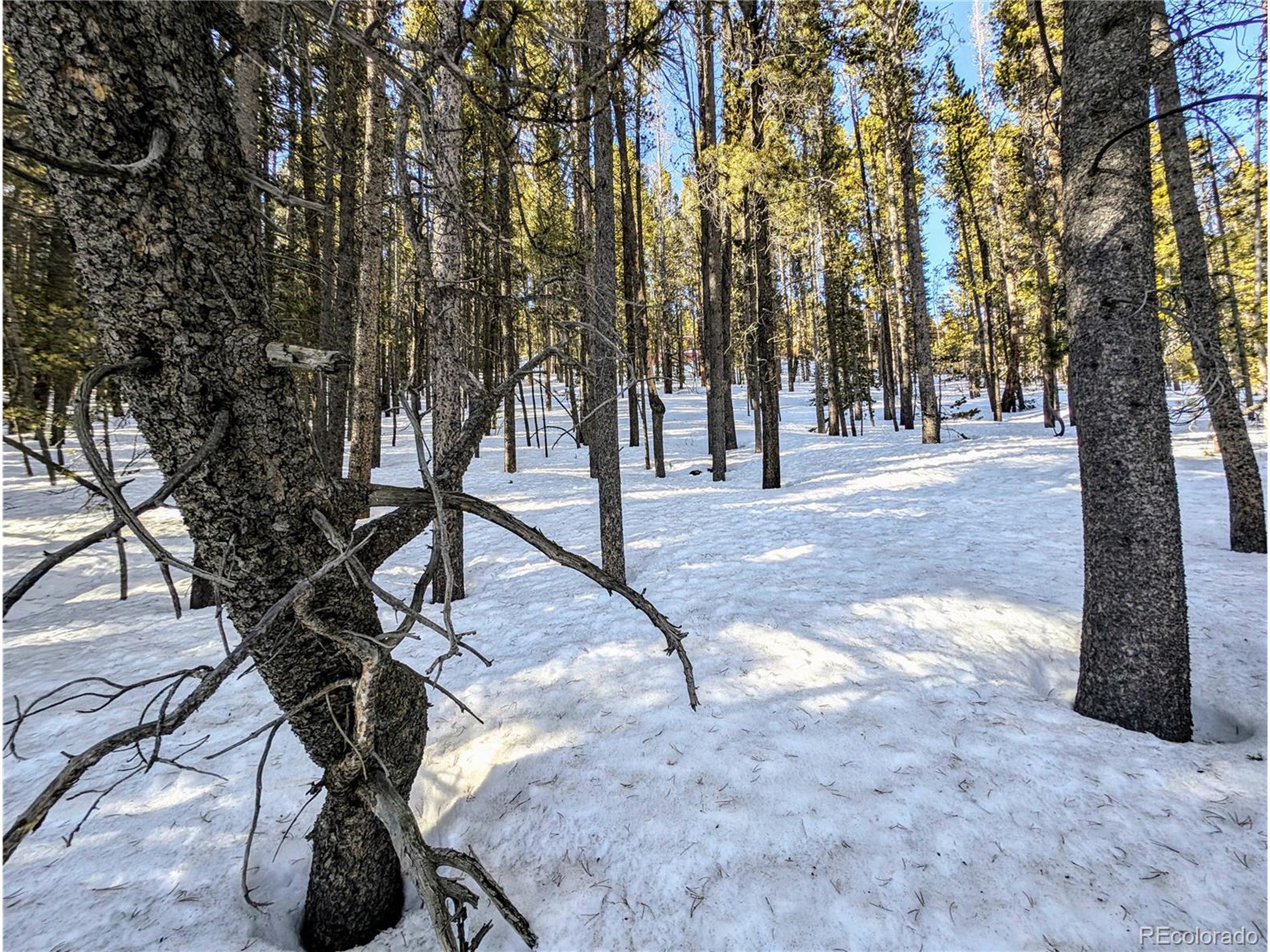 677 Alice Road Idaho Springs, CO 80452 - Photo 9 of 17 a view of outdoor space with seating