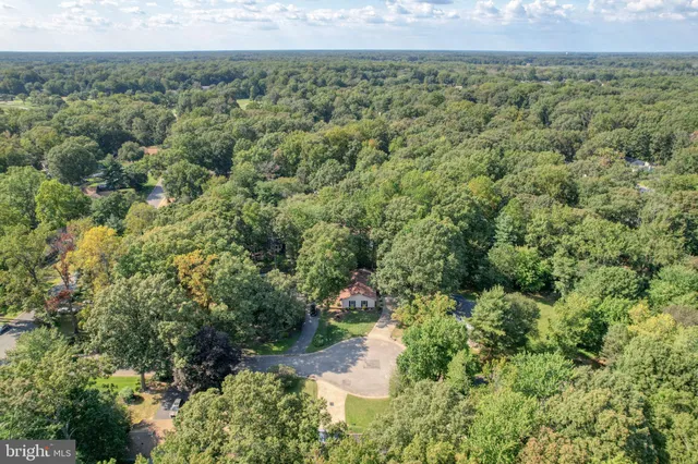 a view of a green field with lots of bushes