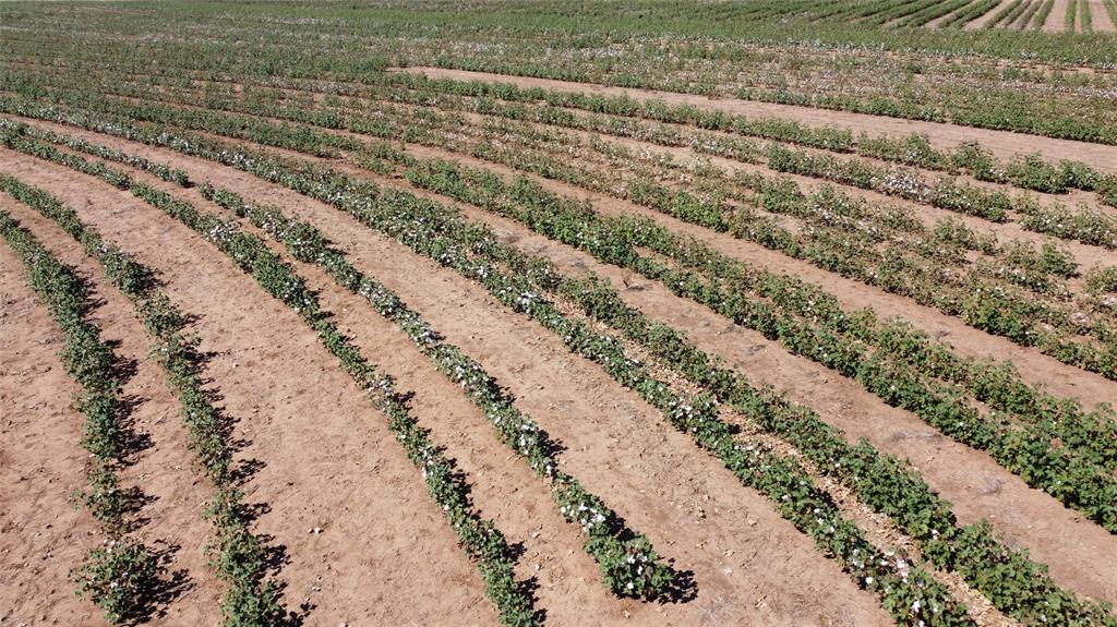 a view of a yard with wooden fence