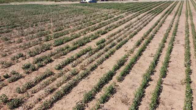 a view of a yard with a space