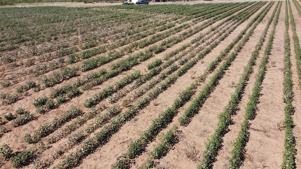 462 Ac Fm 1225 Haskell, TX 79521 - Photo 12 of 27 a view of a yard with a space