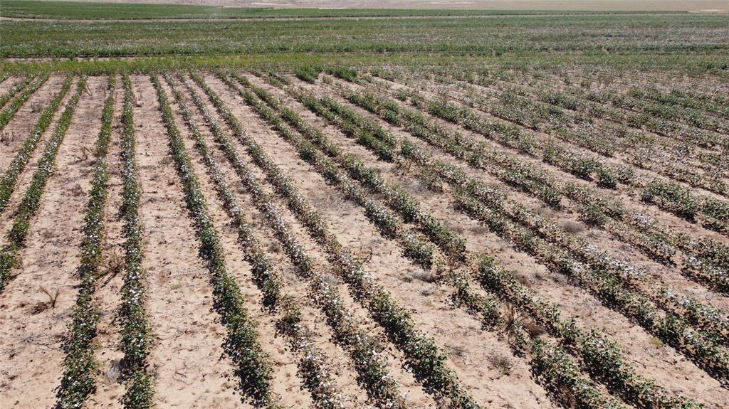 462 Ac Fm 1225 Haskell, TX 79521 - Photo 13 of 27 a view of outdoor space with a lake view