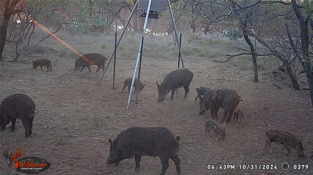 462 Ac Fm 1225 Haskell, TX 79521 - Photo 18 of 27 a view of a room with furniture and wooden floor