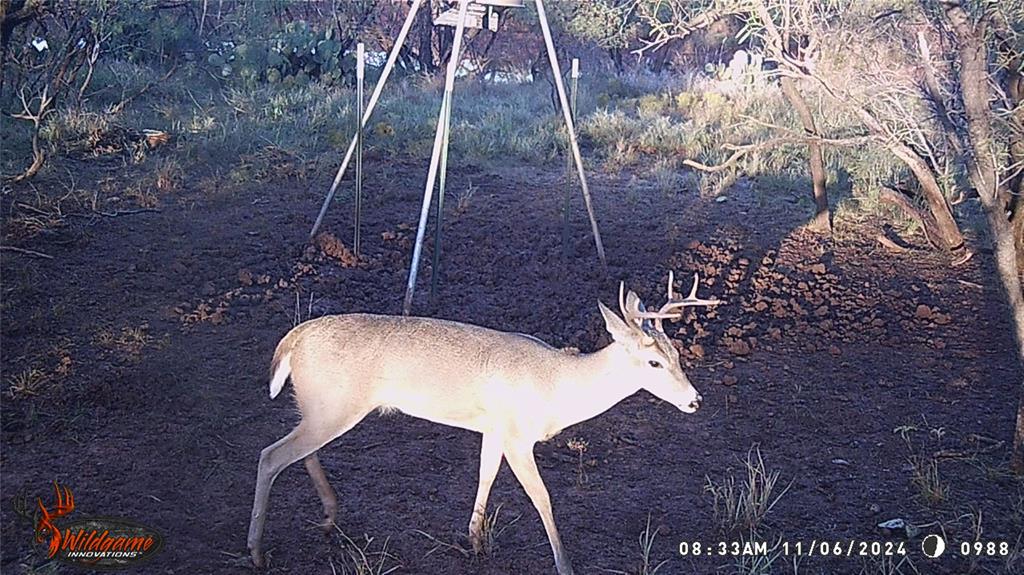 462 Ac Fm 1225 Haskell, TX 79521 - Photo 20 of 27 a view of entryway