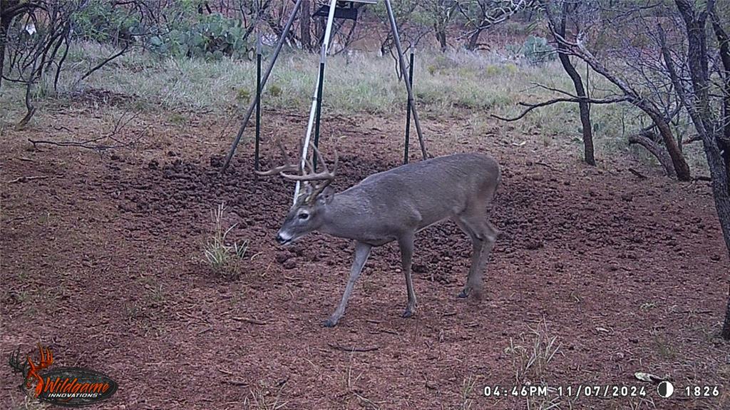 462 Ac Fm 1225 Haskell, TX 79521 - Photo 21 of 27