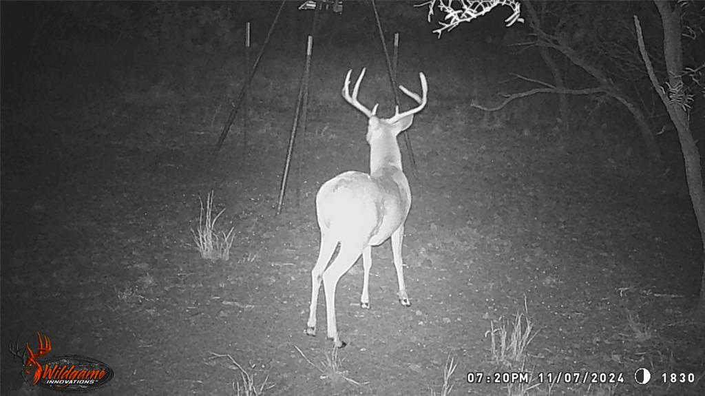 462 Ac Fm 1225 Haskell, TX 79521 - Photo 22 of 27