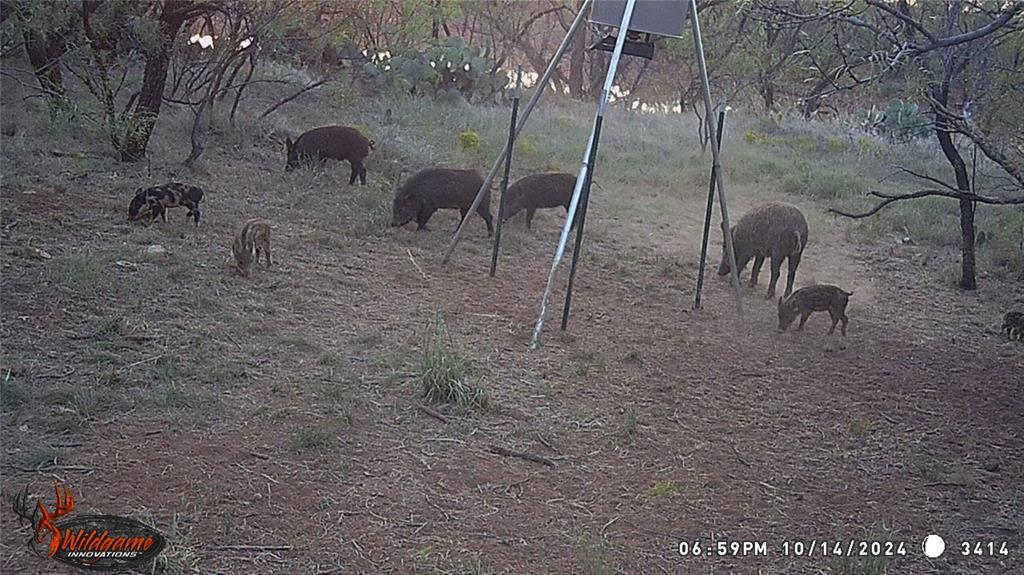 462 Ac Fm 1225 Haskell, TX 79521 - Photo 23 of 27 a view of a yard
