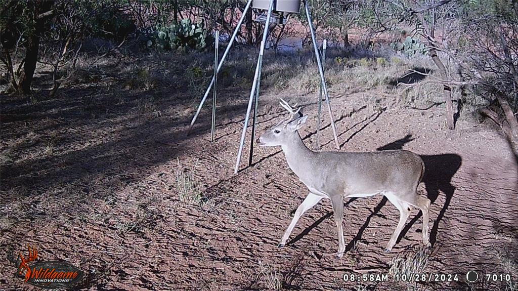 462 Ac Fm 1225 Haskell, TX 79521 - Photo 24 of 27 a view of a backyard with furniture
