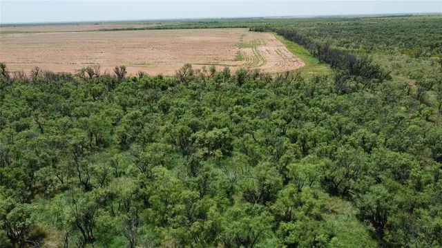 a view of a lake and green space