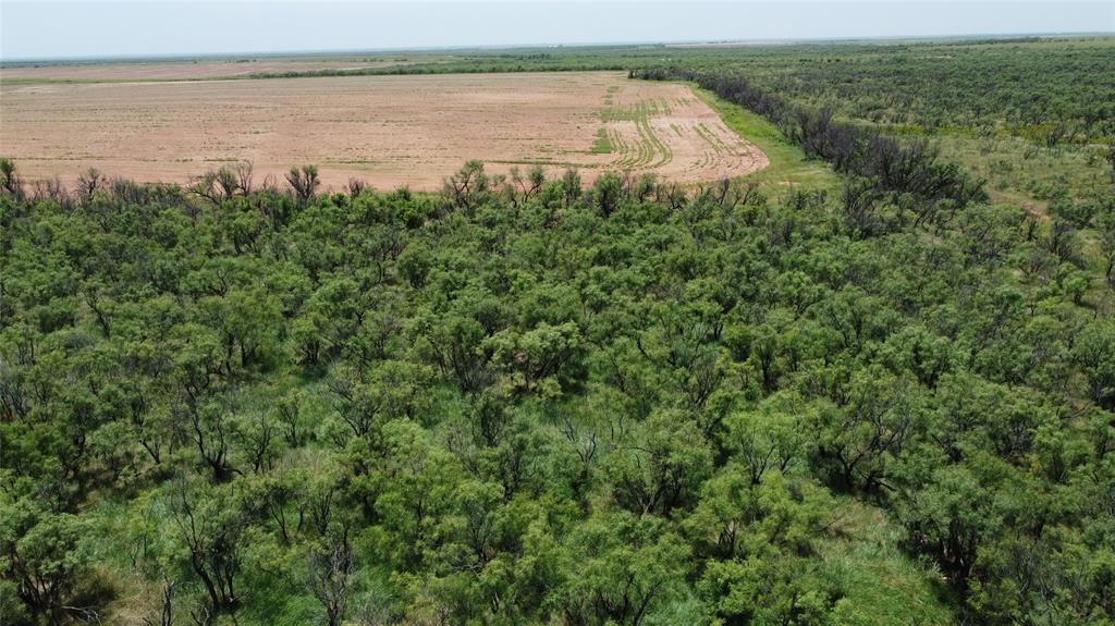 462 Ac Fm 1225 Haskell, TX 79521 - Photo 6 of 27 a view of a lake and green space