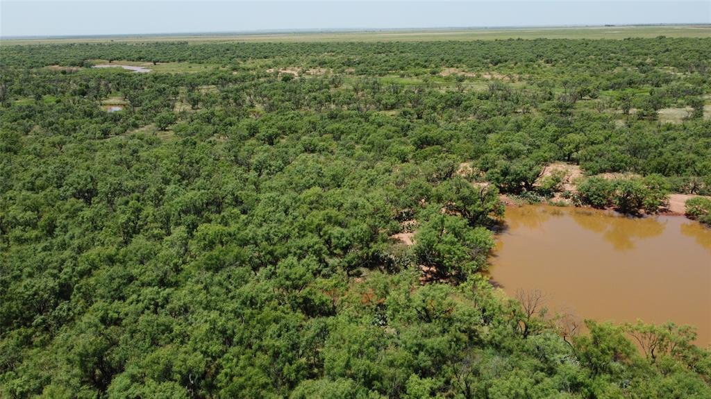 462 Ac Fm 1225 Haskell, TX 79521 - Photo 10 of 27 a view of a green field with an ocean view