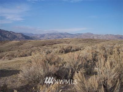 -xxx Hubbard Road Riverside, WA 98849 - Photo 1 of 1