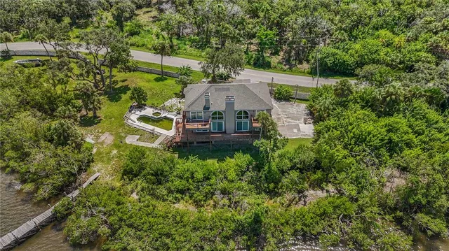 a view of a plant in a garden