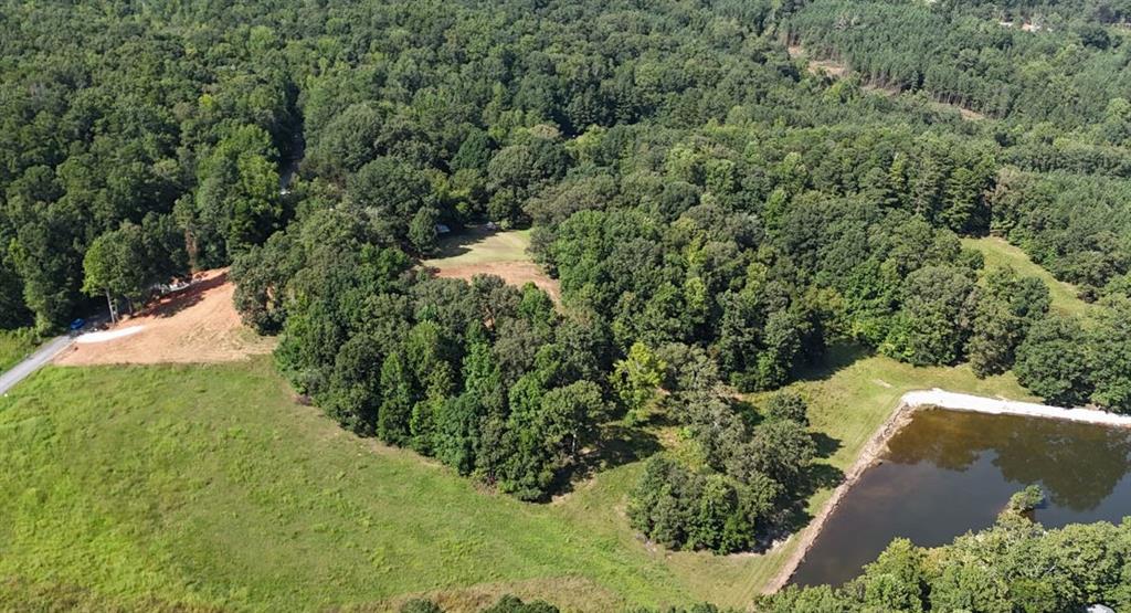 Lot 2 Snote Jones Road Dallas, GA 30132 - Photo 3 of 22 Gallery Image 3