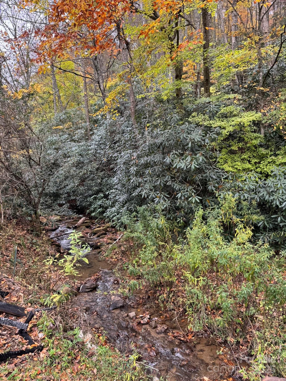 0 Pumpkintown Road Sylva, NC 28779 - Photo 2 of 11 a view of a yard with a tree