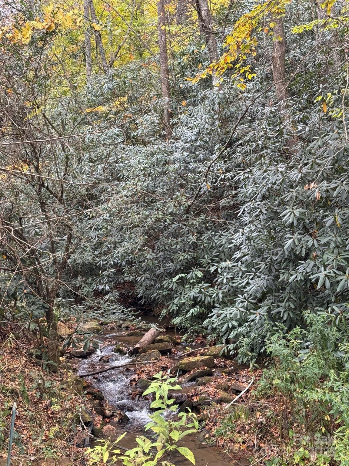 0 Pumpkintown Road Sylva, NC 28779 - Photo 8 of 11 a view of a yard with a tree