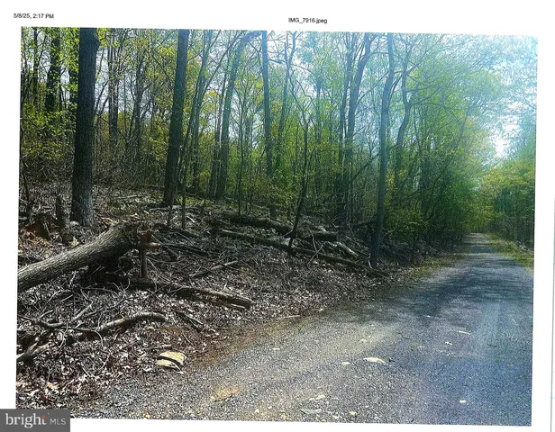 $85,000 | Baptist Lane, Linden, VA 22642