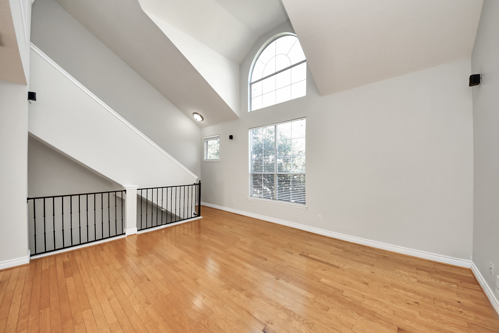 5909 Katy Street Houston, TX 77007 - Photo 12 of 34 This spacious, light-filled living room.