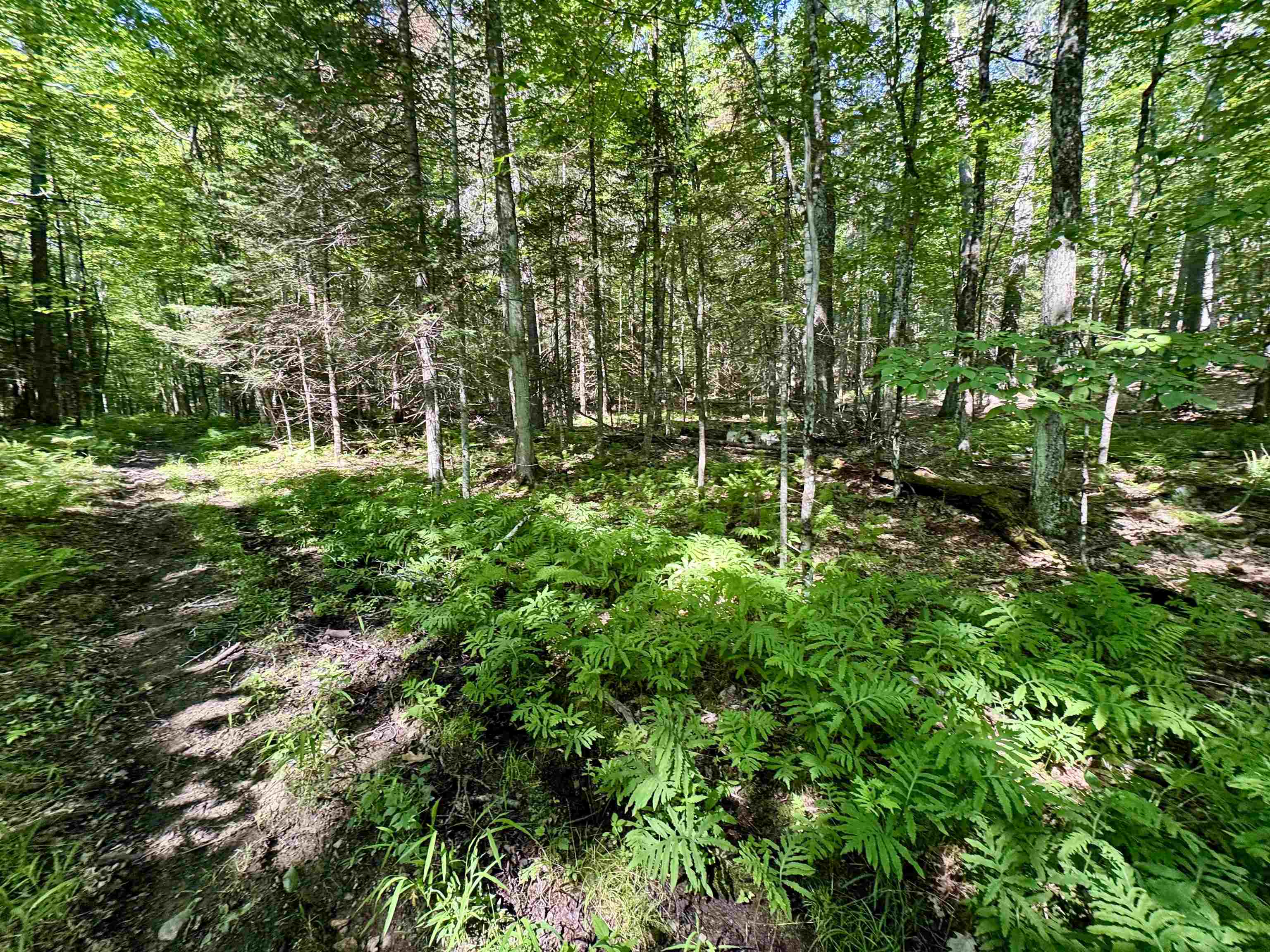 0 Mountain Road Bath, NH 03740 - Photo 10 of 10