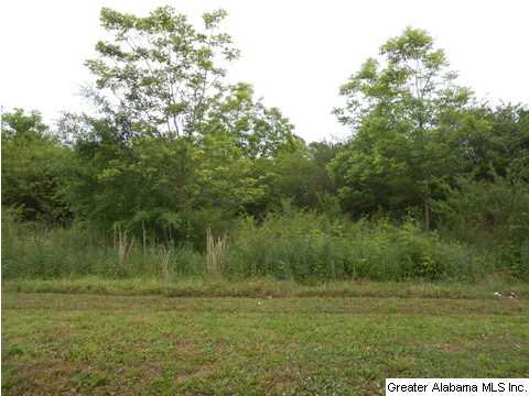 Black Road, Unit 10 Blountsville, AL 35031 - Photo 3 of 3