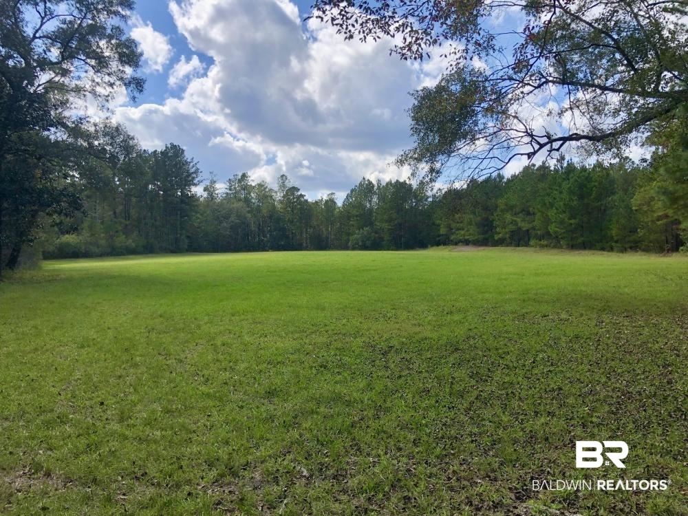 0 Country Road Axis, AL 36505 - Photo 1 of 42