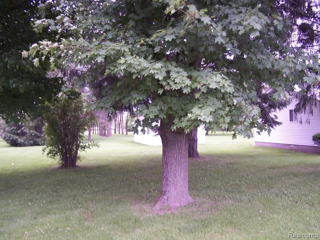 65160 Romeo Plank Road Ray, MI 48096 - Photo 31 of 48 100_1759.jpg