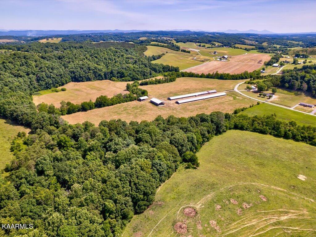 Little Chuckey Road Mosheim, TN 37818 - Photo 16 of 25 3205 Little Chuckey Rd - 138