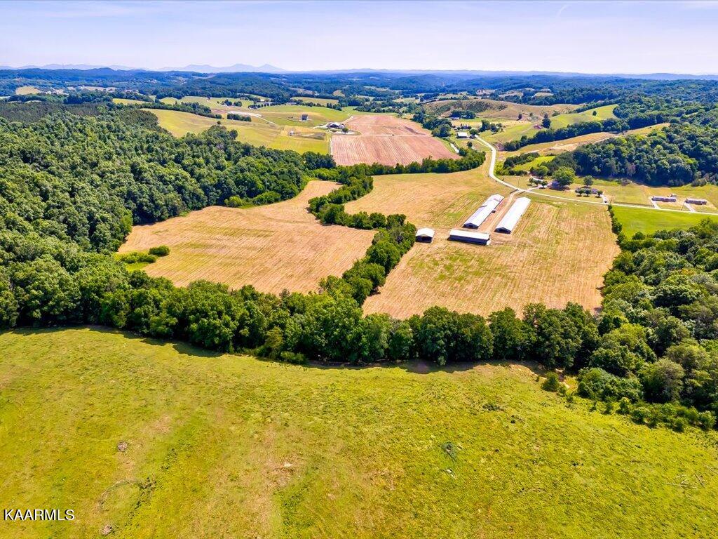 Little Chuckey Road Mosheim, TN 37818 - Photo 17 of 25 3205 Little Chuckey Rd - 139